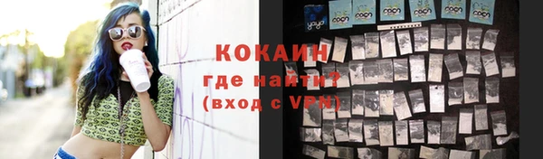 индика Фёдоровский