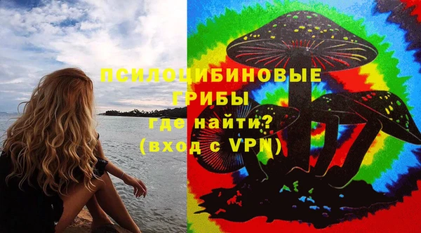 Альфа ПВП Ельня