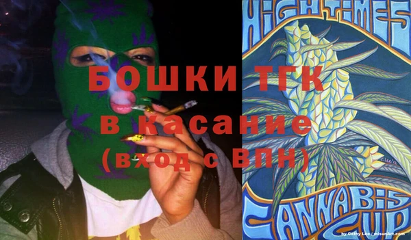 мдпв Елизово