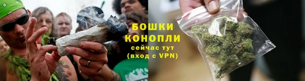 Альфа ПВП Ельня
