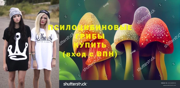 соль ск Николаевск-на-Амуре