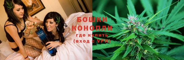 мдпв Елизово