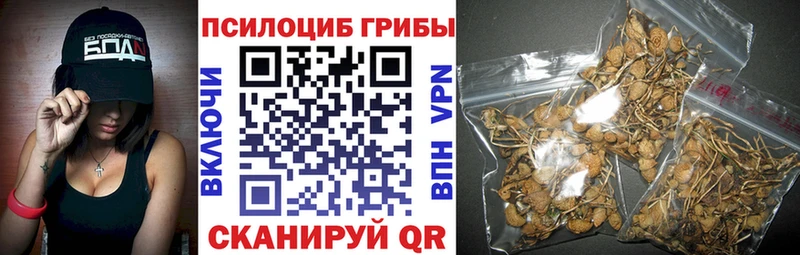 Галлюциногенные грибы мицелий  Обоянь 